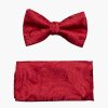 Ties | Stacy Adams Oliver Bow Tie & Hanky Set