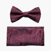 Ties | Stacy Adams Oliver Bow Tie & Hanky Set